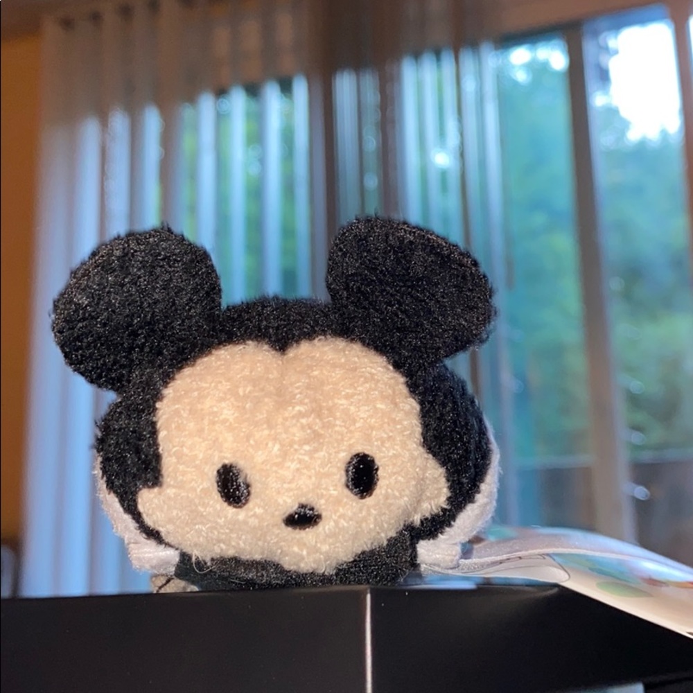 Disney Park Attraction Tsum Tsum